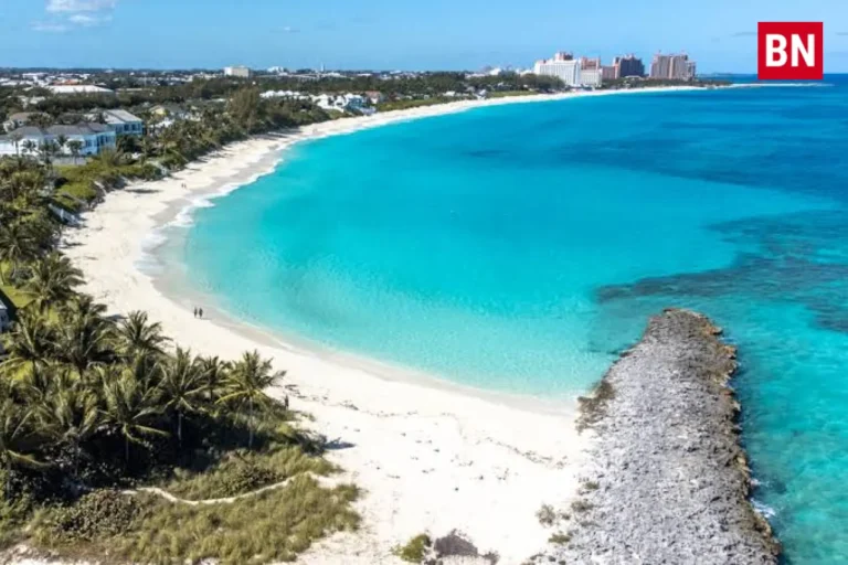 paradise island disaster