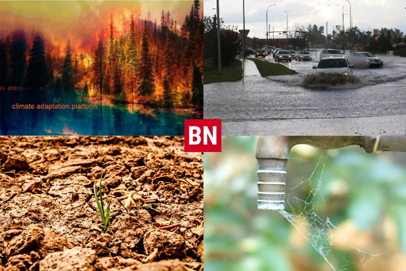 global extreme weather