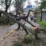 Typhoon Bavi