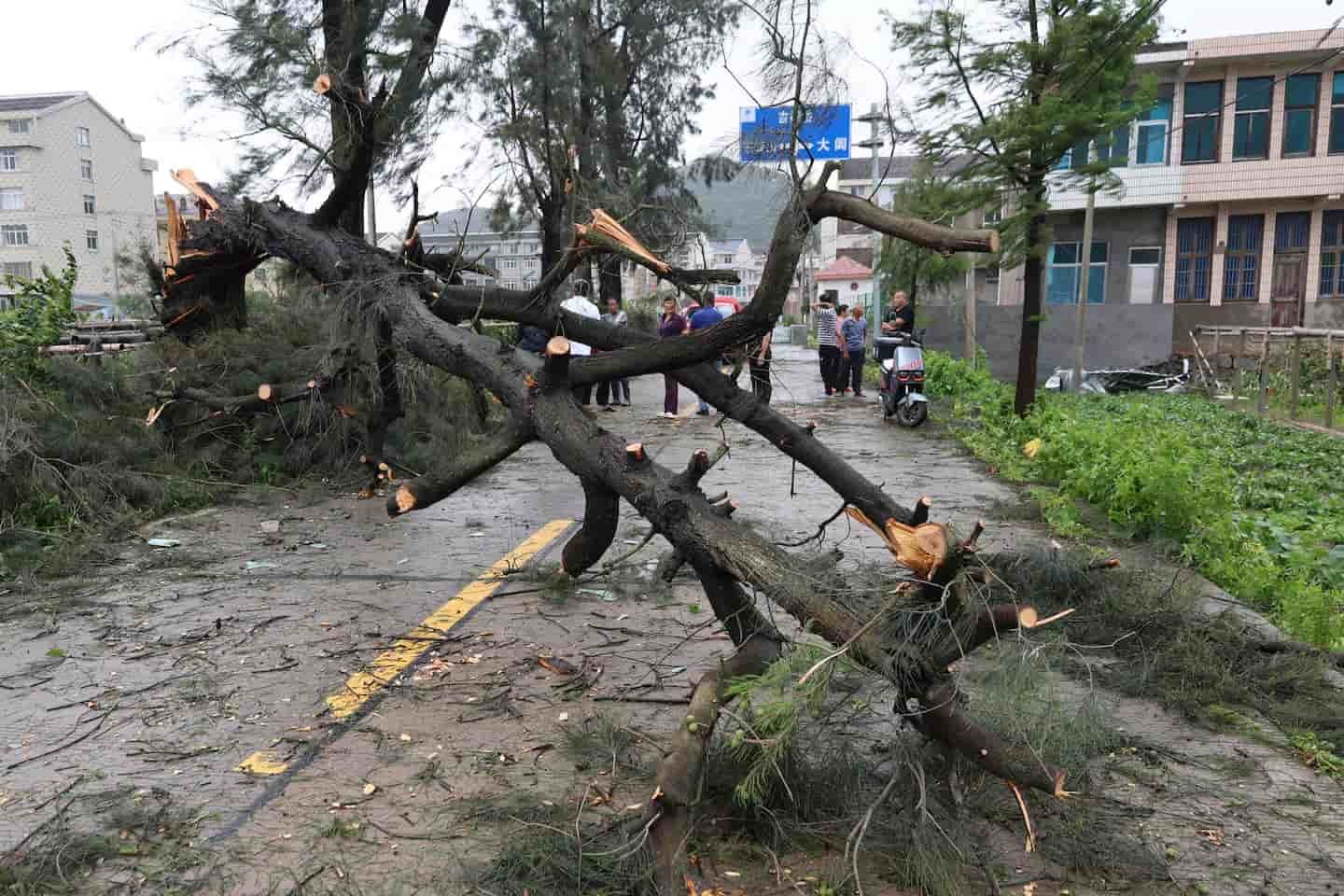 Typhoon Bavi