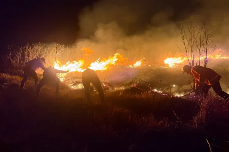 Mount Bromo wildfire