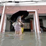 Typhoon Dolphin China