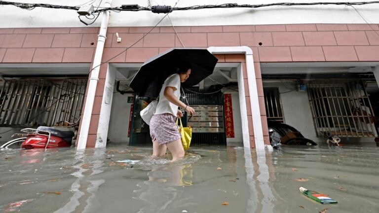 Typhoon Dolphin China