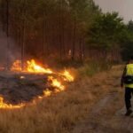 France wildfire arrests
