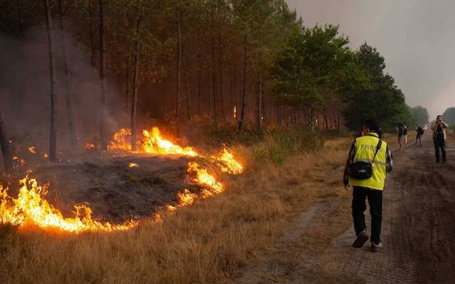 France wildfire arrests